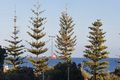 Property photo of 35/1 Freeman Loop North Fremantle WA 6159
