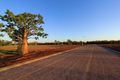 Property photo of 1 Kingfisher Loop Derby WA 6728