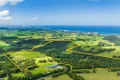 Property photo of 66 Wilsons Road Saddleback Mountain NSW 2533