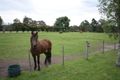 Property photo of 980 Princes Highway Nicholson VIC 3882