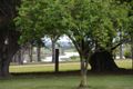 Property photo of 980 Princes Highway Nicholson VIC 3882