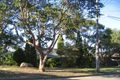 Property photo of 7 Elm Street Lugarno NSW 2210