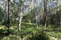 Property photo of 19 Eldon Drive Russell Island QLD 4184