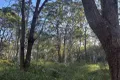 Property photo of 19 Eldon Drive Russell Island QLD 4184