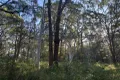 Property photo of 19 Eldon Drive Russell Island QLD 4184