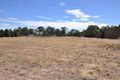Property photo of 23 Taylor Street Long Gully VIC 3550