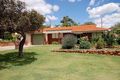 Property photo of 31 Padstow Street Karrinyup WA 6018