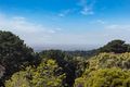 Property photo of 31 Beauford Road Red Hill South VIC 3937