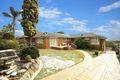 Property photo of 36A Tunstall Avenue Kensington NSW 2033