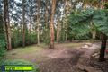 Property photo of 9 Laurel Court Olinda VIC 3788