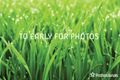 Property photo of 16/56 Norton Road Croydon VIC 3136