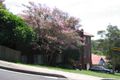 Property photo of 1 Martins Avenue Bondi NSW 2026