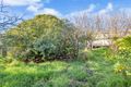 Property photo of 13 Ridgeway Avenue Enfield SA 5085