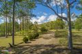 Property photo of 100 Rodney Road Curra QLD 4570
