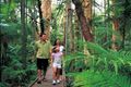 Property photo of 4 Foxville Circuit Trinity Park QLD 4879