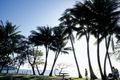Property photo of 4 Foxville Circuit Trinity Park QLD 4879