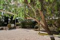 Property photo of 157 Murray Street Tanunda SA 5352