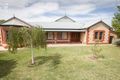 Property photo of 39 Memorial Drive Naracoorte SA 5271