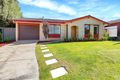Property photo of 8 Phoebe Avenue Modbury Heights SA 5092