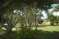 Property photo of 123 Pinnacle Pocket Road East Barron QLD 4883