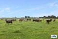 Property photo of 591 Muchea South Road Muchea WA 6501
