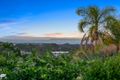 Property photo of 20 Hermitage Crescent Thornlands QLD 4164