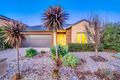 Property photo of 14 Fantail Crescent Williams Landing VIC 3027