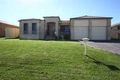 Property photo of 20 Sandalwood Avenue Thornton NSW 2322