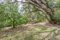 Property photo of 11 Barbara Crescent Coromandel Valley SA 5051