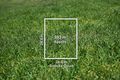 Property photo of 4 Snooks Court Brighton VIC 3186