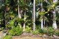 Property photo of 293 Bunya Road North Arm QLD 4561