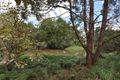 Property photo of 285 Reesville Road Reesville QLD 4552