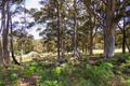 Property photo of 13 Jasper Place Shadforth WA 6333