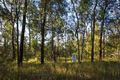 Property photo of 15 Luthers Road Halfway Creek NSW 2460
