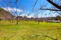 Property photo of 1040 Bucca Road Bucca NSW 2450