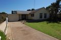 Property photo of 35 Minkie Avenue Mitchell Park SA 5043