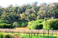 Property photo of 9/1172 Wildwood Road Yallingup Siding WA 6282