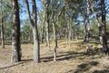Property photo of 267 Awoonga Dam Road Benaraby QLD 4680