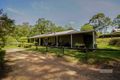 Property photo of 17 Park Avenue Woolgoolga NSW 2456