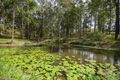 Property photo of 17 Park Avenue Woolgoolga NSW 2456