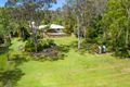 Property photo of 16 Barleycorn Avenue Buderim QLD 4556