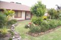 Property photo of 20 Leane Avenue Ridgehaven SA 5097