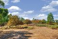 Property photo of 30 Paddys Dam Road Tooborac VIC 3522