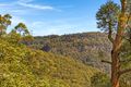 Property photo of 274-280 Guanaba Road Tamborine Mountain QLD 4272