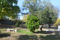 Property photo of 34 Suttor Street Canowindra NSW 2804