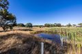 Property photo of 79 Careys Road Scarsdale VIC 3351