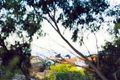 Property photo of 6 Gillies Street Hampton VIC 3188