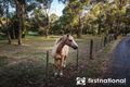 Property photo of 2-6 Noack Road Harkaway VIC 3806