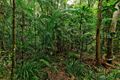 Property photo of 72 Grasstree Road Eumundi QLD 4562