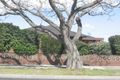 Property photo of 35 Bemboka Avenue Clayton South VIC 3169
